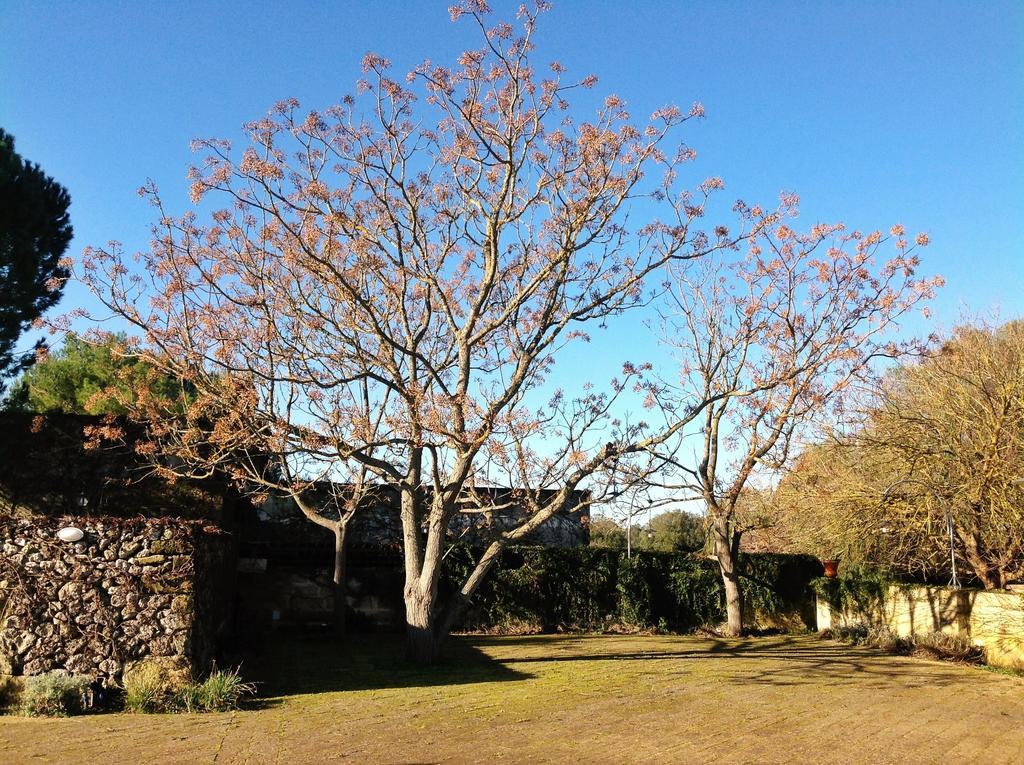 Tenuta Sant'Andrea Giuggianello Exteriér fotografie